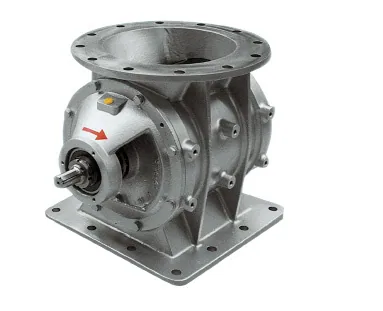 DMN AML-100